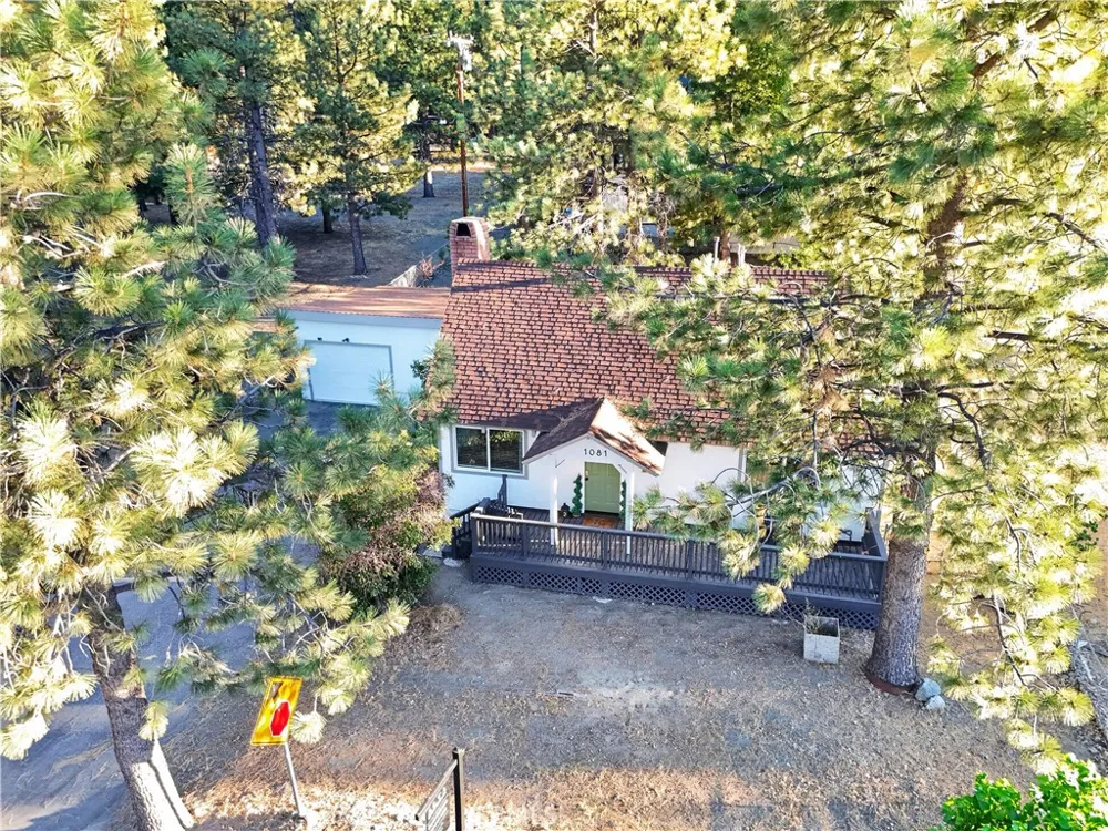 1081 Apple Avenue Wrightwood, CA 92397