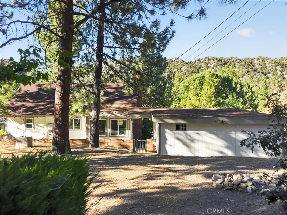 1081 Apple Avenue Wrightwood, CA 92397