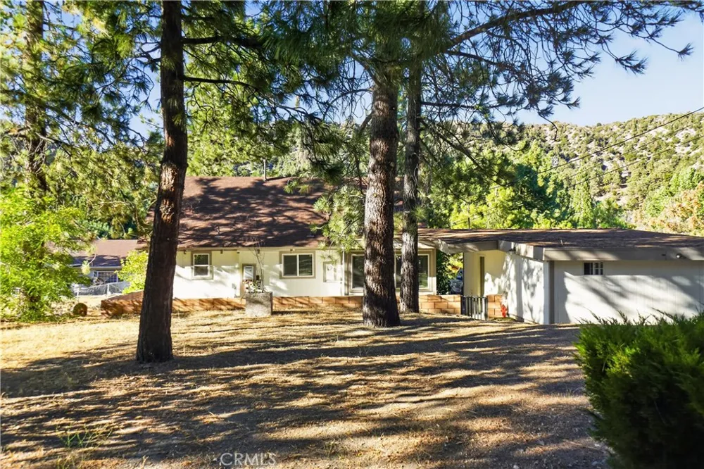1081 Apple Avenue Wrightwood, CA 92397