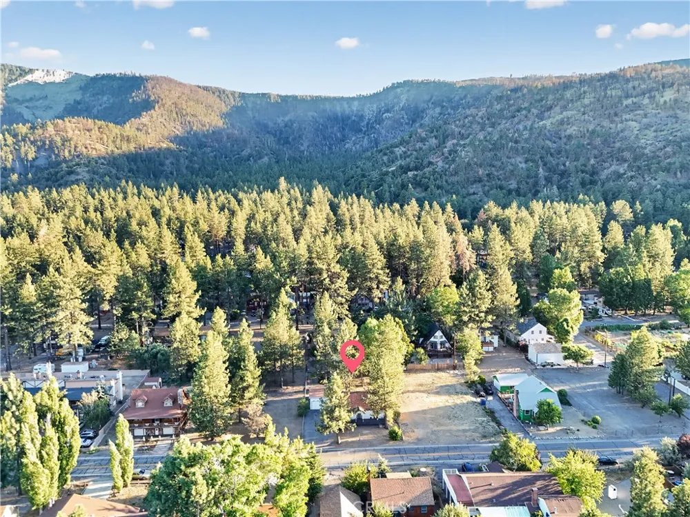 1081 Apple Avenue Wrightwood, CA 92397