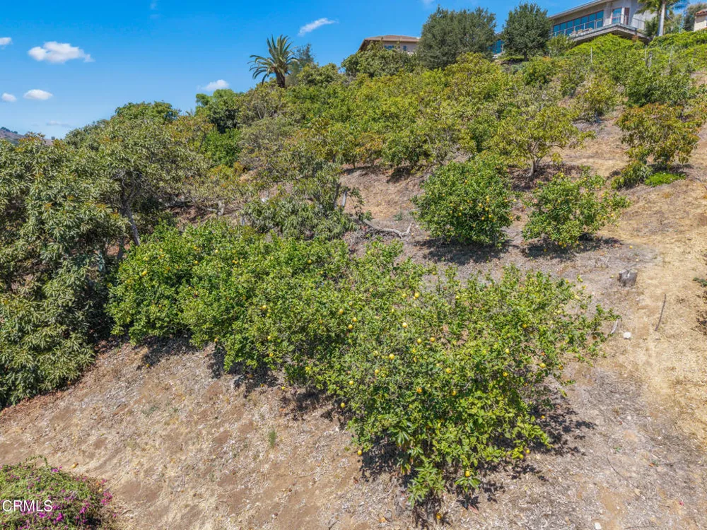 View Drive Santa Paula, CA 93060