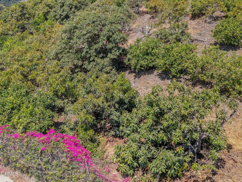 View Drive Santa Paula, CA 93060
