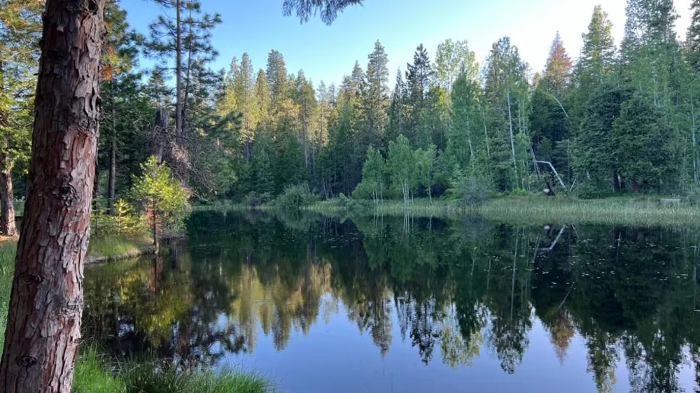 2624 Indian Rock Road Dorrington, CA 95223