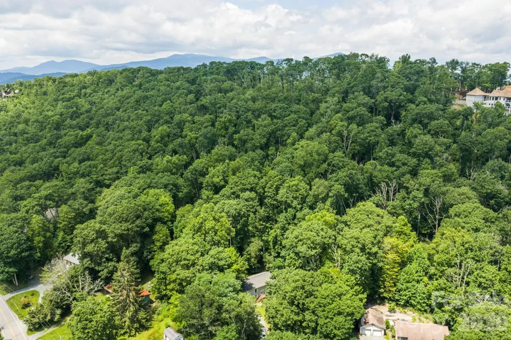 100 Summersweet Drive Banner Elk, NC 28604