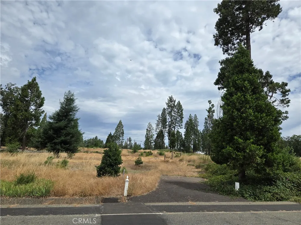 13549 S Park Magalia, CA 95954