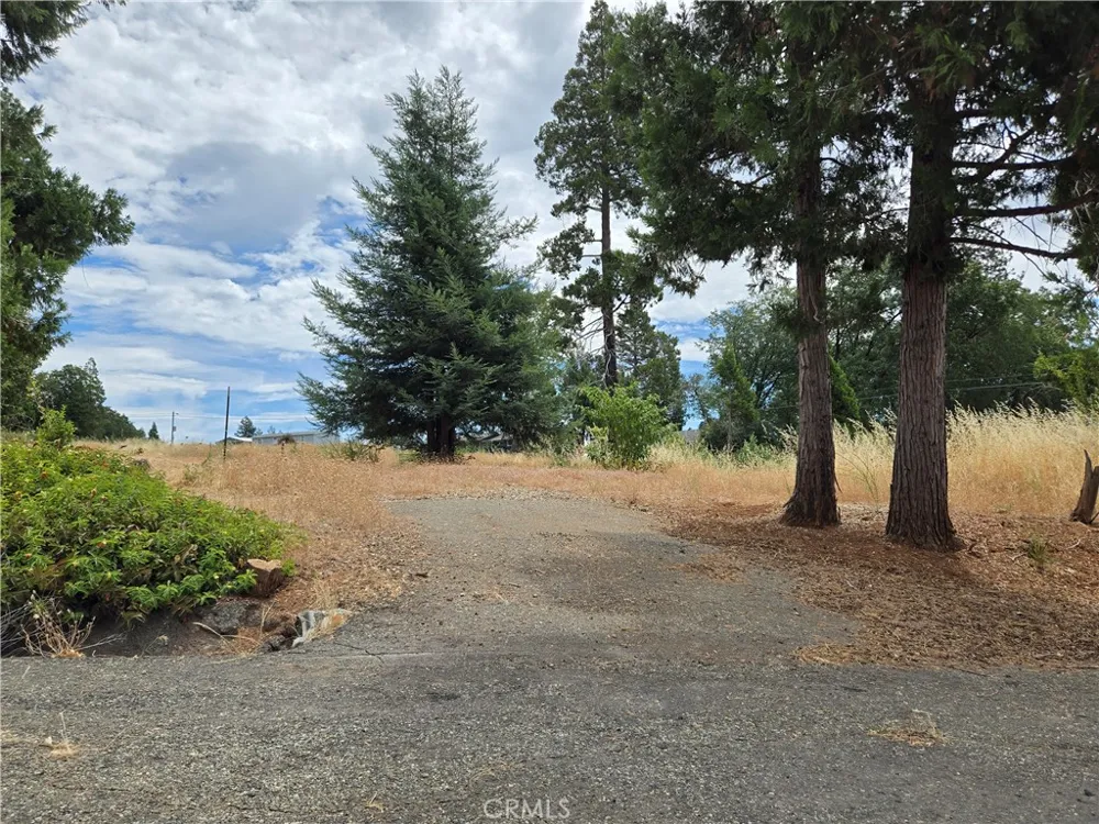 13549 S Park Magalia, CA 95954
