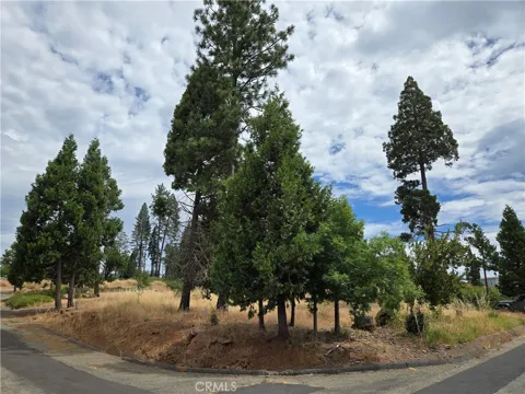 13549 S Park