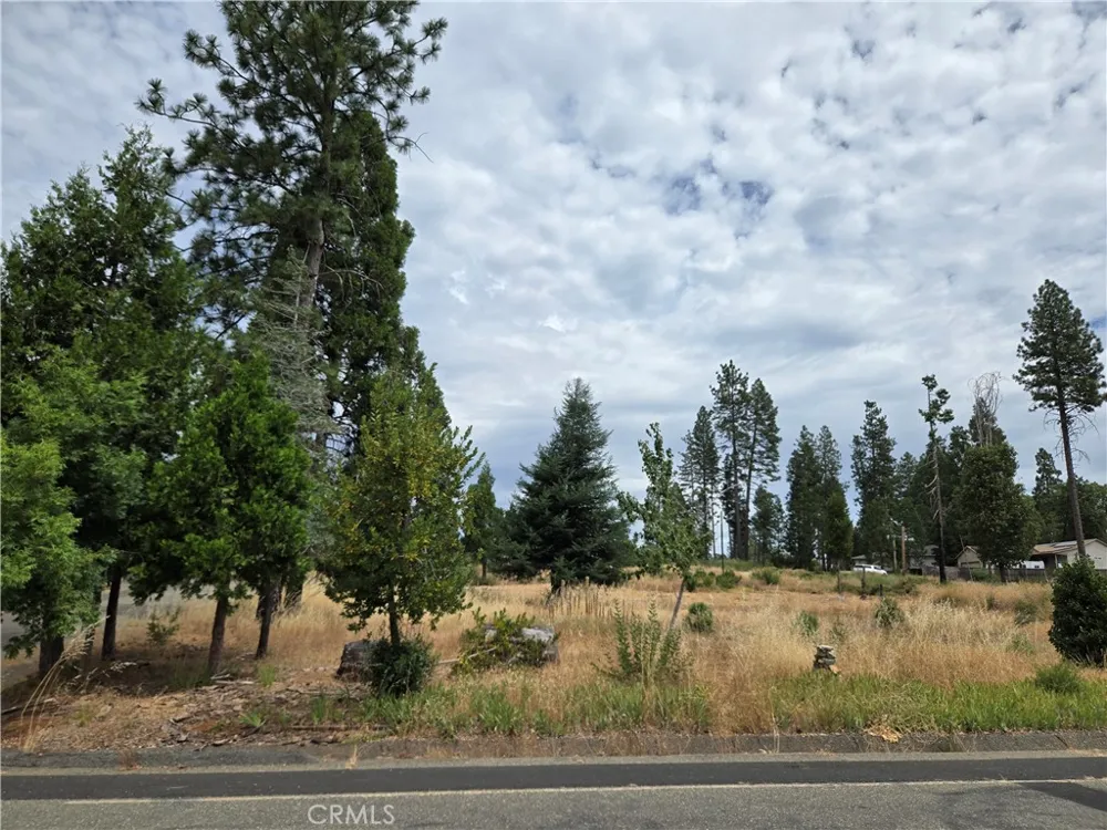 13549 S Park Magalia, CA 95954