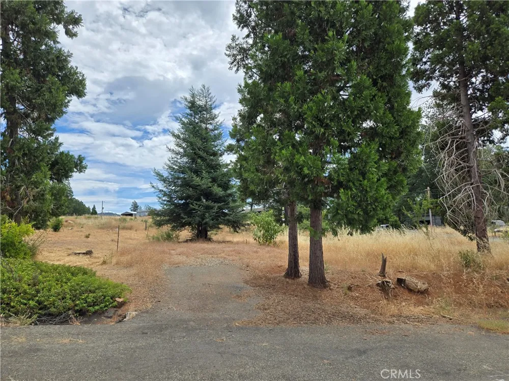 13549 S Park Magalia, CA 95954
