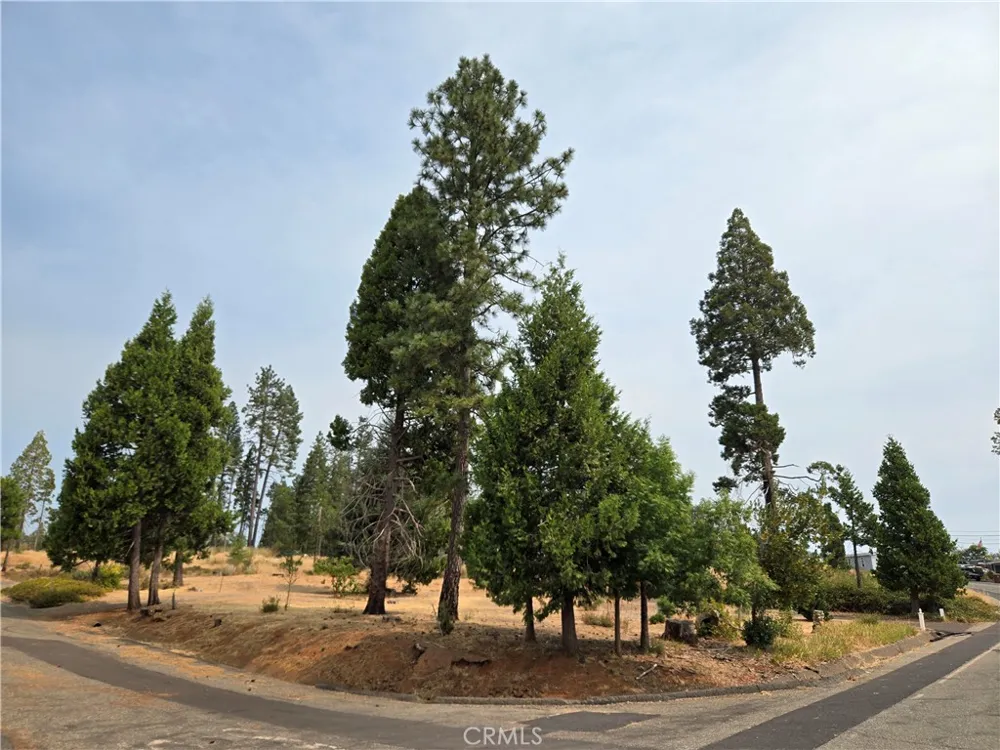 13549 S Park Magalia, CA 95954