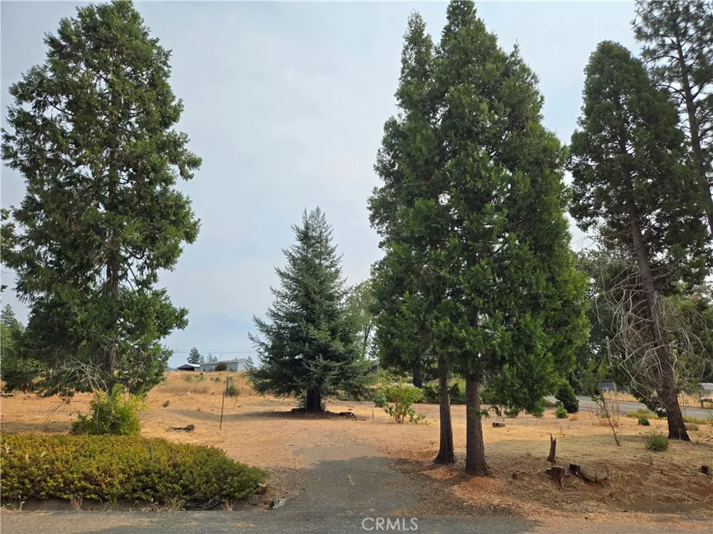 13549 S Park Magalia, CA 95954