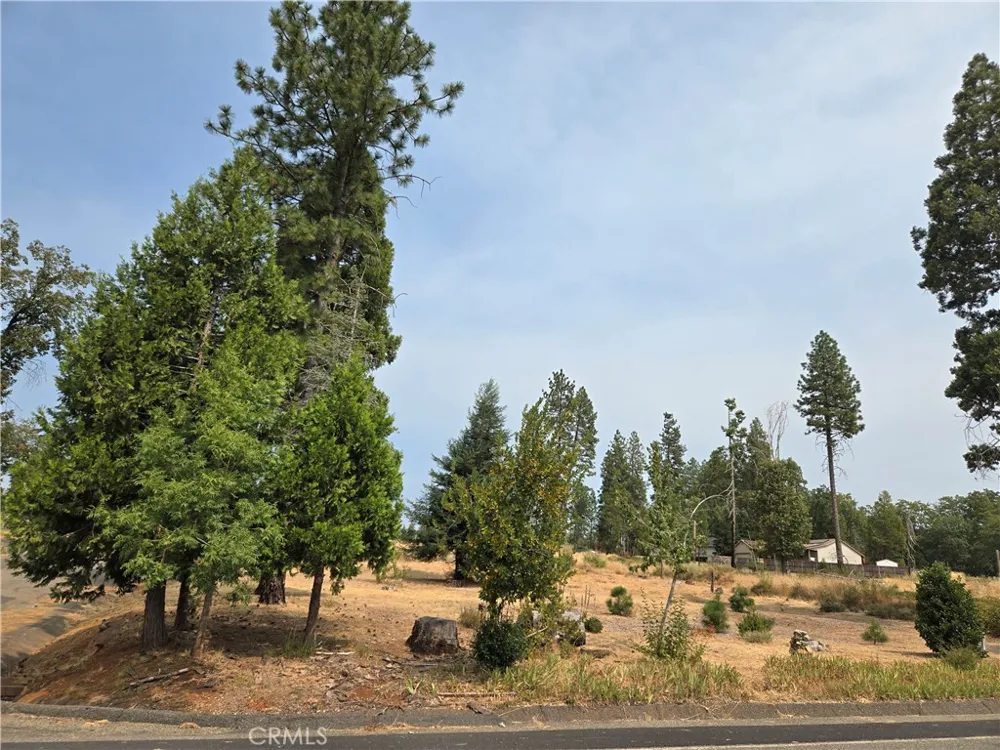 13549 S Park Magalia, CA 95954