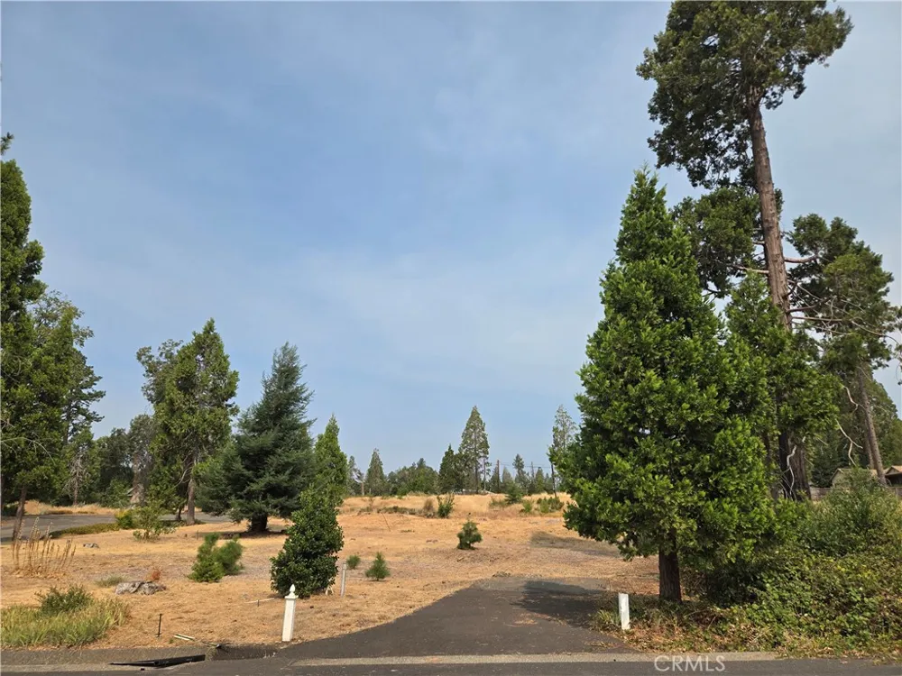 13549 S Park Magalia, CA 95954