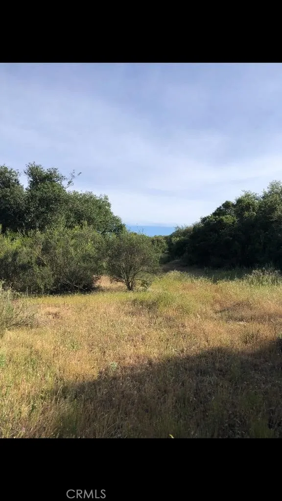1 Calle Paramo Murrieta, CA 92562