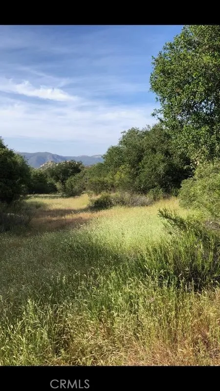 1 Calle Paramo Murrieta, CA 92562