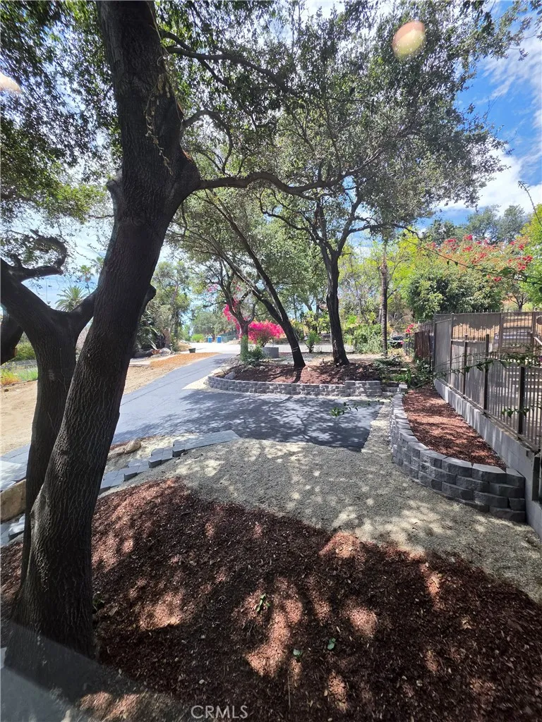 3130 Mount Curve Altadena, CA 91001