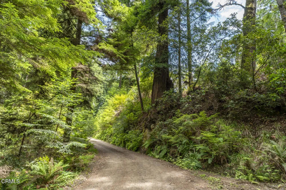 16225 Mitchell Creek Drive Fort Bragg, CA 95437