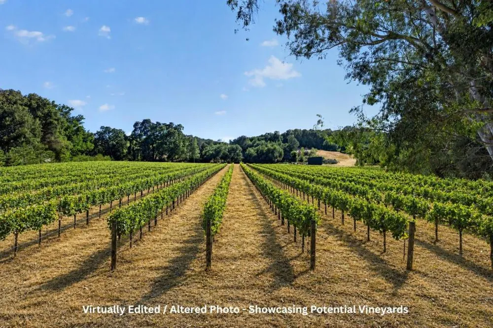 1195 Partrick Road Napa, CA 94558