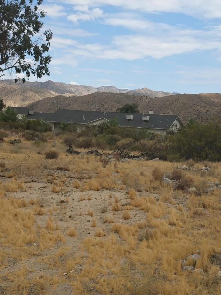 Mesquite Morongo Valley, CA 92256