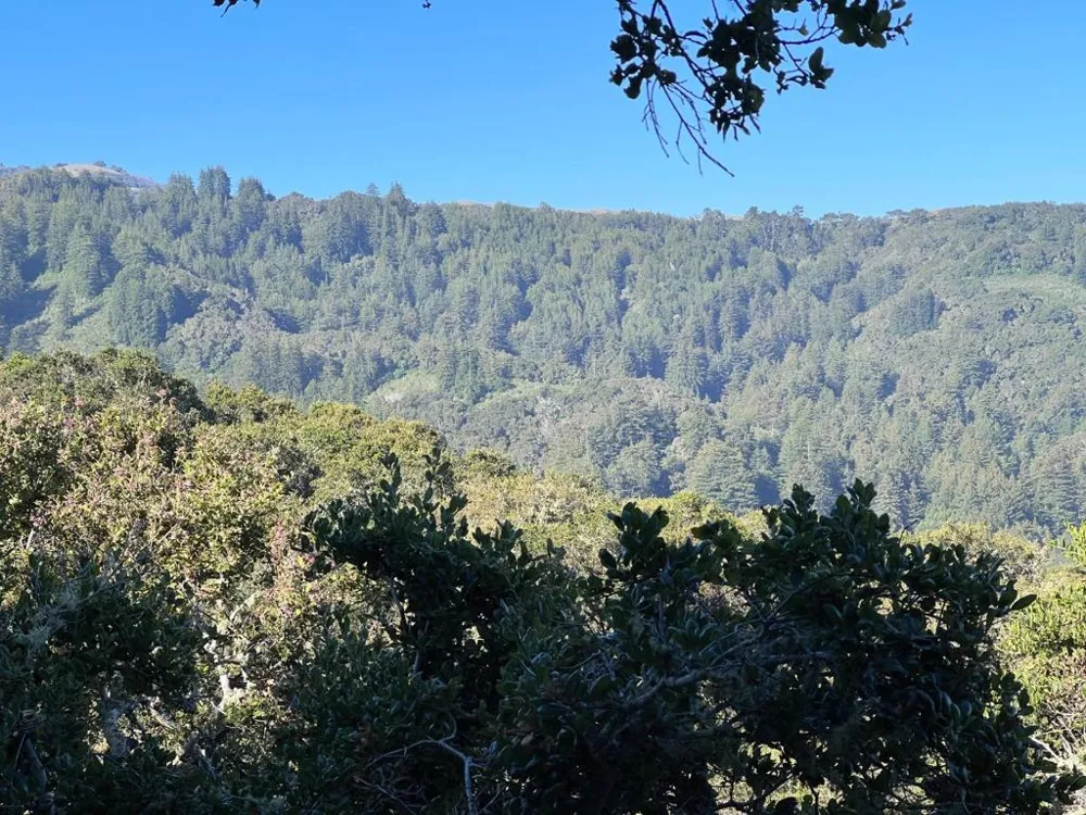 2 Corral Run Carmel, CA 93923