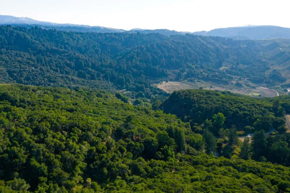 2 Corral Run Carmel, CA 93923