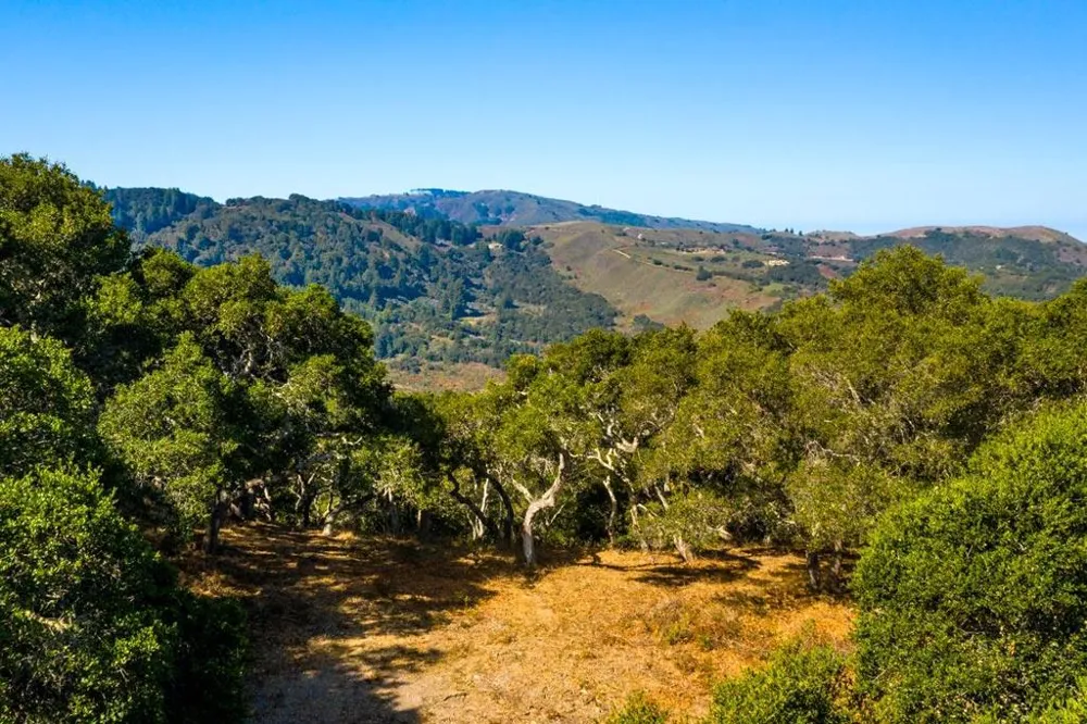 2 Corral Run Carmel, CA 93923