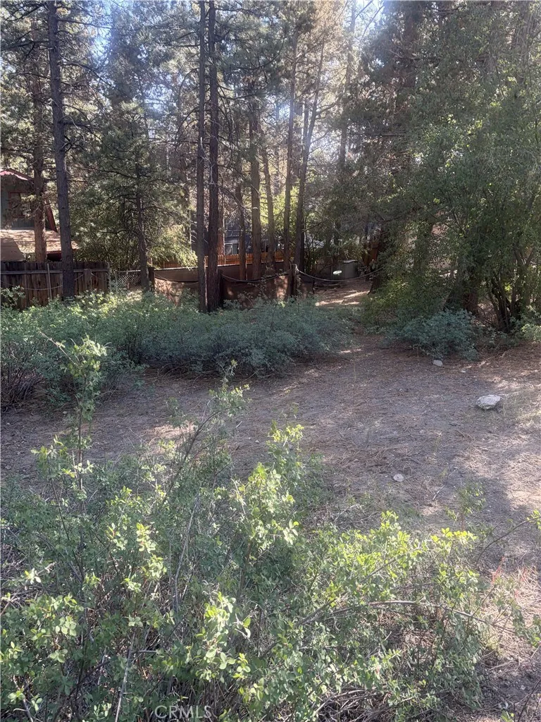 42871 Monterey Big Bear Lake, CA 92315
