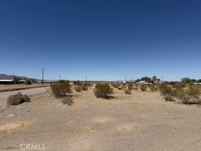 Dogwood Daggett, CA 92327