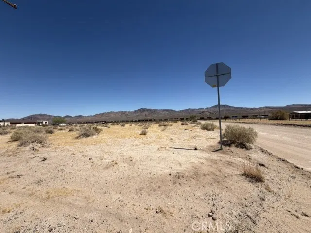 Dogwood Daggett, CA 92327