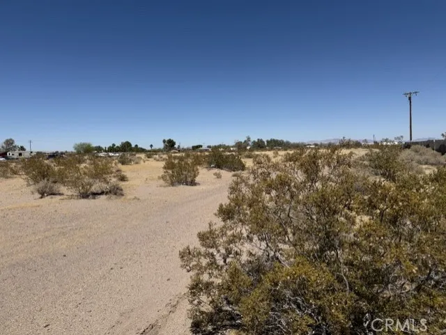 Dogwood Daggett, CA 92327