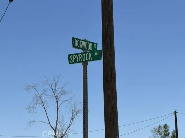 Dogwood Daggett, CA 92327