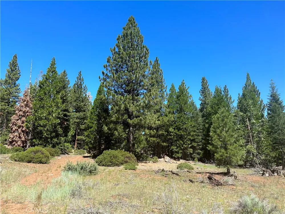 1 Canyon Creek Rd California Pines, CA 96101