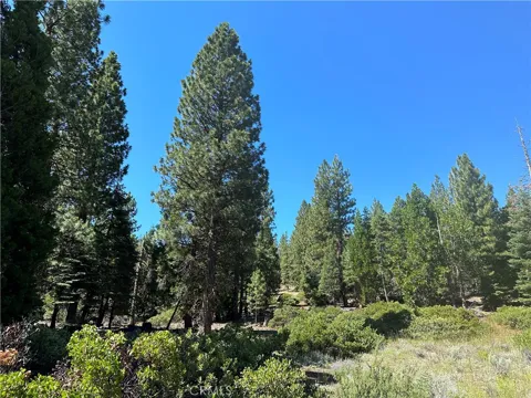 1 Canyon Creek Rd