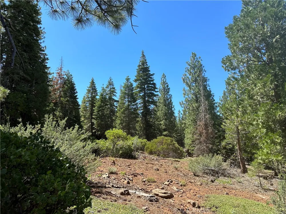 1 Canyon Creek Rd California Pines, CA 96101