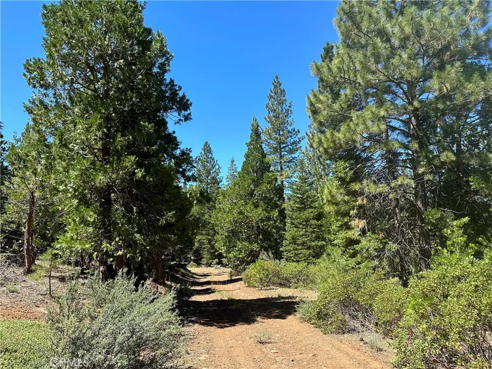 1 Canyon Creek Rd California Pines, CA 96101