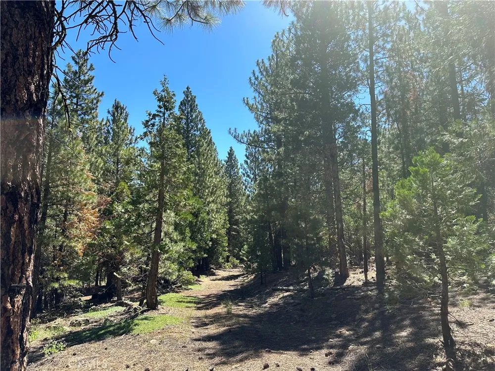 1 Canyon Creek Rd California Pines, CA 96101