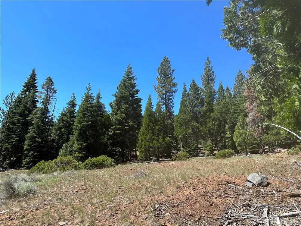 1 Canyon Creek Rd California Pines, CA 96101