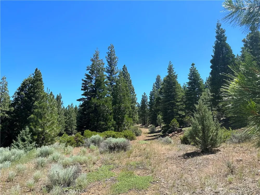 1 Canyon Creek Rd California Pines, CA 96101