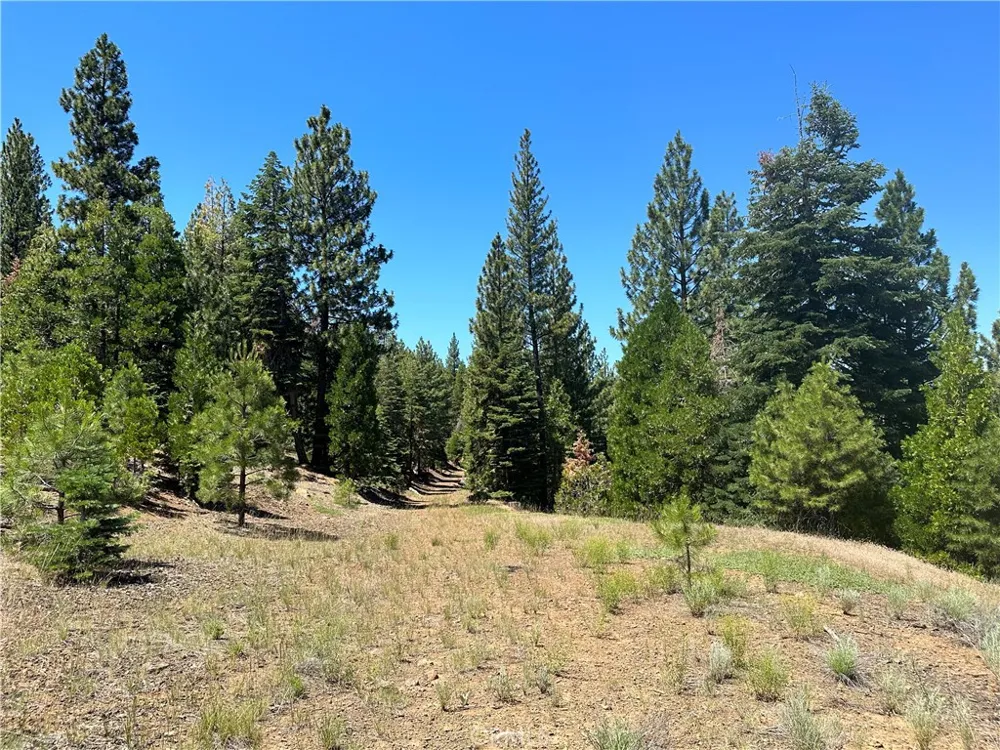 1 Canyon Creek Rd California Pines, CA 96101