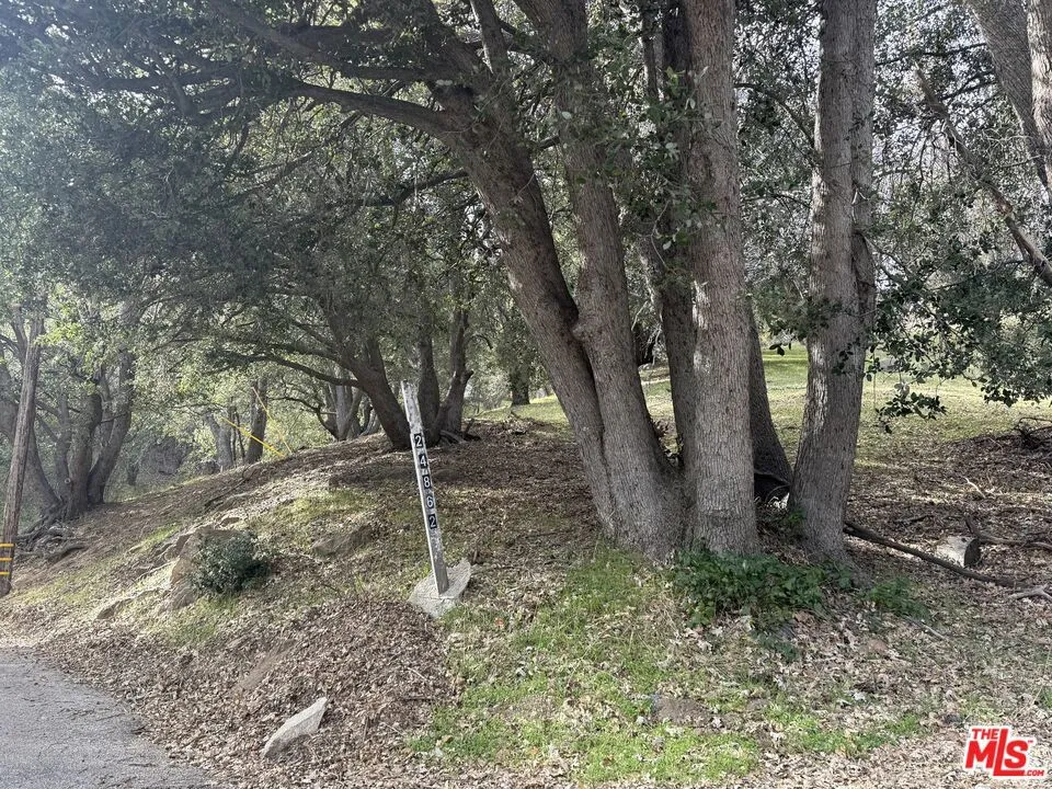 24862 Edelweiss Drive Crestline, CA 92325
