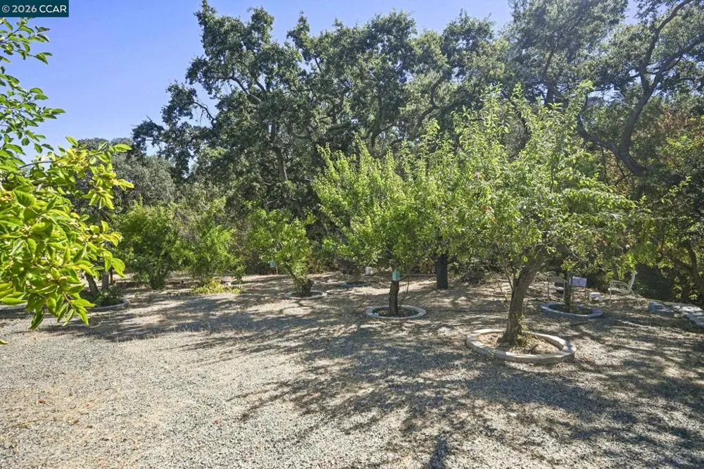864 Coachman Pl Clayton, CA 94517