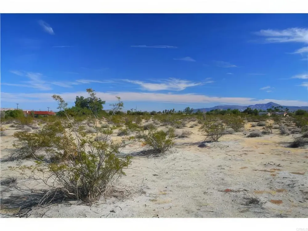 95 Saddle Road Borrego Springs, CA 92004