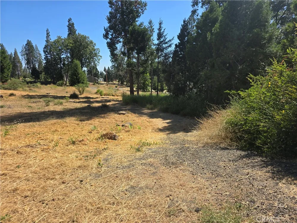 6474 Loyola Court Magalia, CA 95954