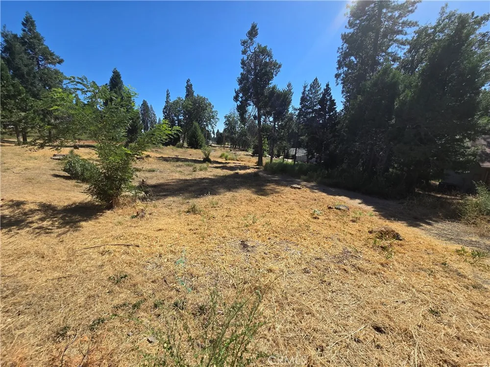 6474 Loyola Court Magalia, CA 95954