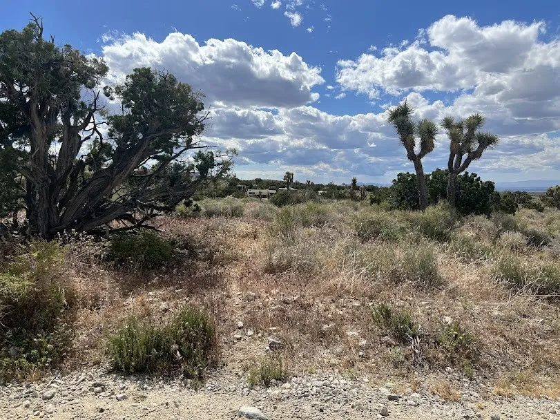 223 Avenue Y14 Llano, CA 93544