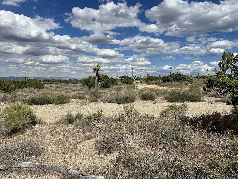 223 Avenue Y14 Llano, CA 93544