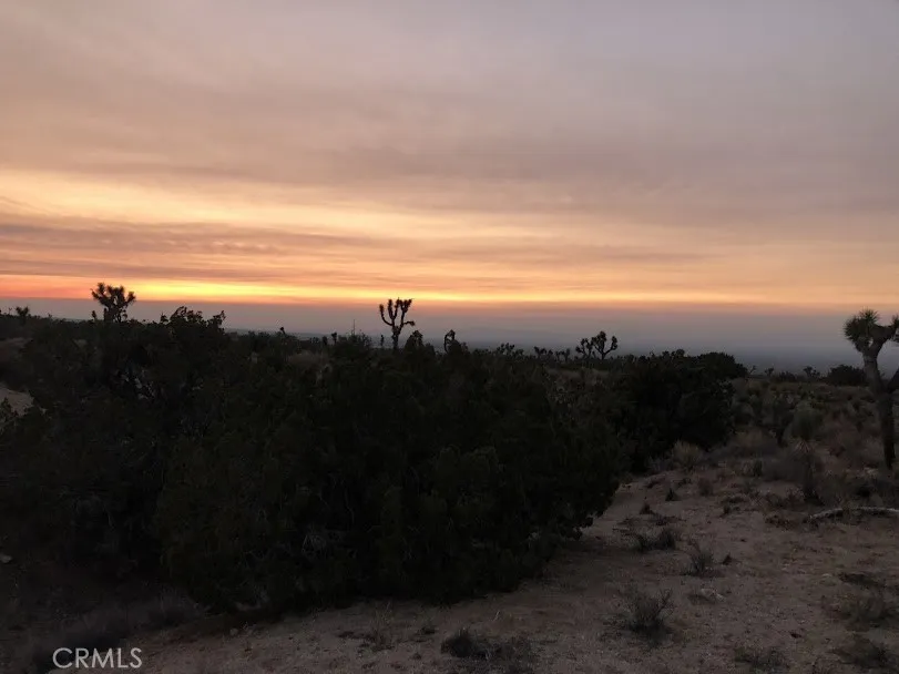 223 Avenue Y14 Llano, CA 93544