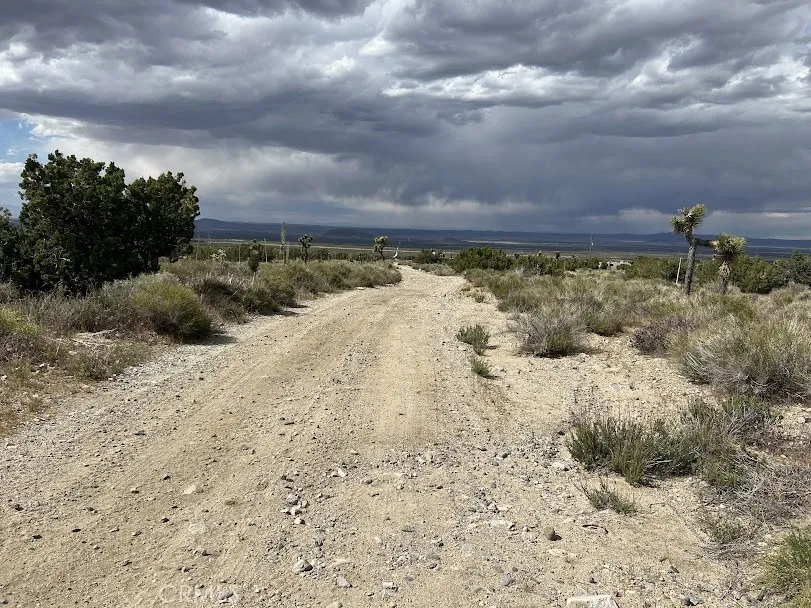 223 Avenue Y14 Llano, CA 93544