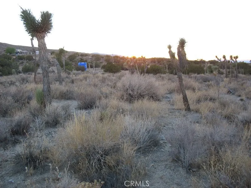 223 Avenue Y14 Llano, CA 93544