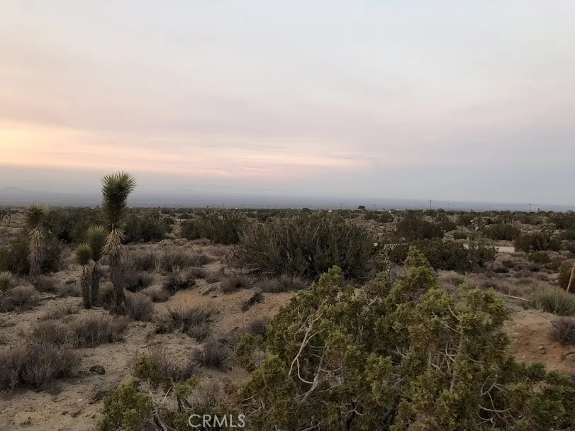 223 Avenue Y14 Llano, CA 93544